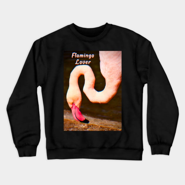 Flamingo Lover Crewneck Sweatshirt by ak3shay